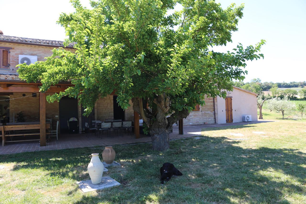 Casale Talevi Villa Cartoceto Exterior foto